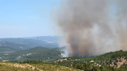 Manisa'daki orman yangını devam ediyor: Şüpheli tutuklandı!
