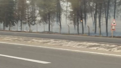 Şanlıurfa’da orman yangını: Alevlerin petrol istasyonuna sıçramaması için seferber oldular