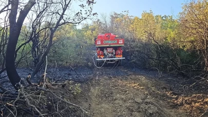 Bursa’da ormanlık alanda çıkan yangın kontrol altına alındı