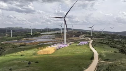 Azerbaycan'dan Türkiye'ye "yeşil enerji" adımı