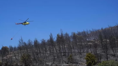 İzmir Aliağa'da orman yangınına neden olan şüpheli tutuklandı