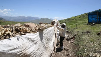 2 bin 156 rakımlı yaylada tescilli bal üretimi yapıyorlar