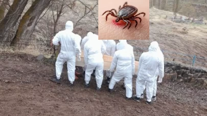 Tunceli, Çankırı, Tokat... Kene hastalığı 3 can daha aldı