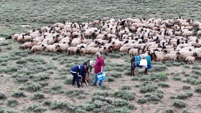 Hayvan sağlığı için kat edilen kilometrelerce mesafe