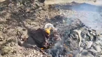 Edremit'te çöplükteki yangın tarım arazisine sıçradı