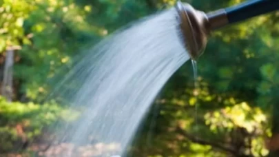 Bitkilerinizin sağlıklı büyümesi için etkili sulama taktikleri