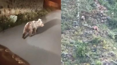 Gümüşhane’de belgesel gibi görüntüler