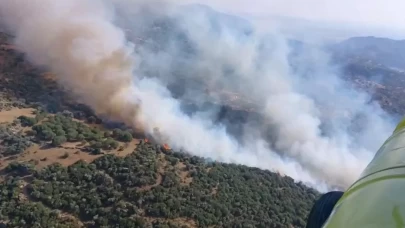 Söke'deki zirai alan yangına havadan yoğun müdahale