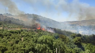 263 orman yangını ülkeyi sardı!