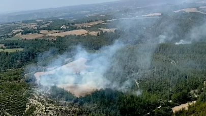 Adana'da orman yangını