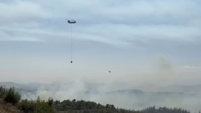 Adana'da orman yangını kontrol altında: 6 gözaltı