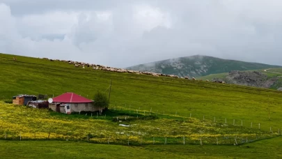 Kartpostallık görüntüler