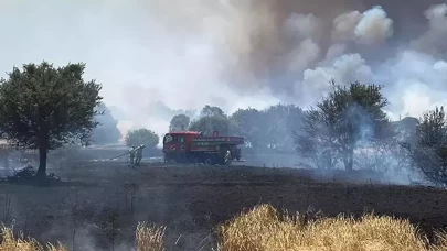 Çanakkale'de orman yangınlarıyla ilgili 26 kişi hakkında adli işlem başlatıldı