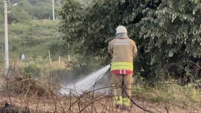 Yol kenarına atılan izmarit otları yaktı
