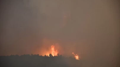 İletişim Başkanlığı'ndan yangınlar hakkında bilgilendirme
