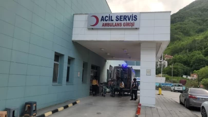 Kastamonu’da akrebin soktuğu kadın hastanelik oldu