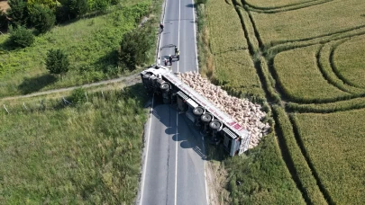 Arnavutköy’de patates yüklü tır devrildi! Tonlarca patates tarlaya döküldü