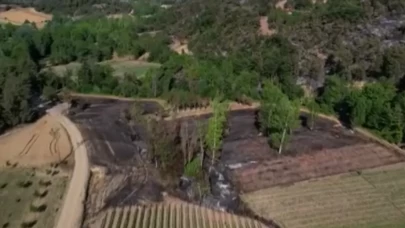 Acı üstüne acı: Tarlası kül oldu, kazada yakınını kaybetti