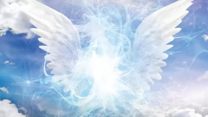 Melek sayımı nasıl bulurum?