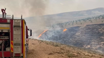 Şanlıurfa’daki orman yangınına havadan ve karadan müdahale ediliyor
