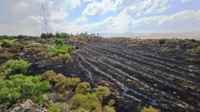 Tatvan’da çıkan yangında 50 dönümlük alan küle döndü