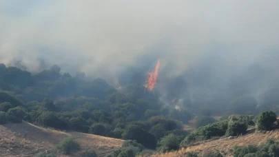 Aydın’da alevlere hava ve kara desteği! Yangın kontrol altına alınamıyor