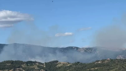 Kozan'daki orman yangınına müdahale devam ediyor