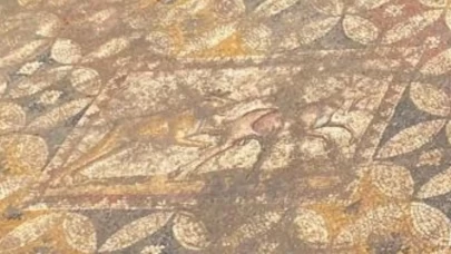 Evin zemininden 2500 yıllık tarih çıktı