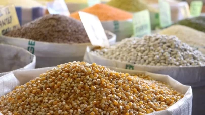 Güneydoğu'dan ABD'ye milyon dolarlık hububat ihracatı