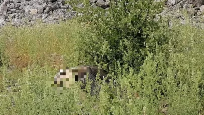 Fatma Acar 45 yaşındaydı... Sızgıla otu canına mal oldu