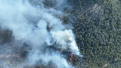 Adana'da çıkan orman yangını kontrol altına alındı