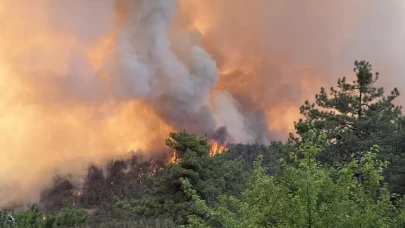Bilecik’te orman yangını; Köprücek köyü kül oldu