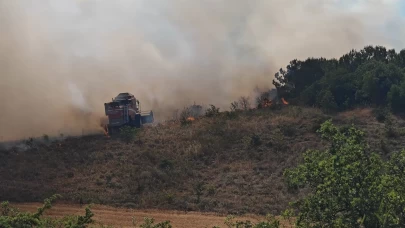 Bursa'da orman yangını