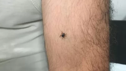 KKKA şüphesiyle gözetim altına alındı