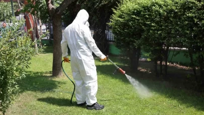 Bahçe bakımında başarılı olmanın 7 altın kuralı!