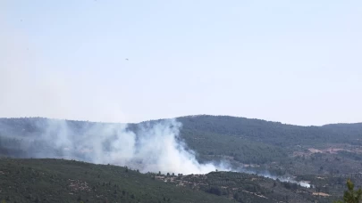 Menteşe'de orman yangını başladı