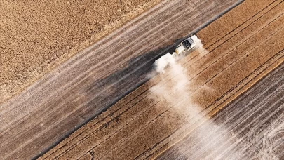 Çiftçilere tarımsal destekleme ödemesi yapılacak