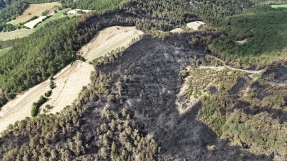 Bolu’daki orman yangınında 25 hektarlık alan küle döndü