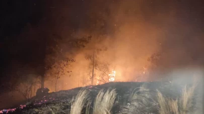 Osmaniye'de çıkan orman yangını kontrol altına alındı
