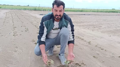 Kayseri'de sağanak ve dolu nedeniyle tarım arazileri zarar gördü