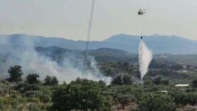 Manisa'da tarım arazisindeki yangın, ormanı da yaktı