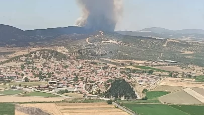 Bozköy Mahallesi'nde orman yangını! Ekipler havadan ve karadan müdahale ediyor