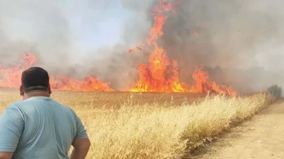 Manisa'da buğday tarlası alev alev yandı