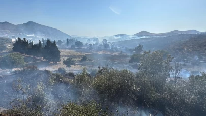 Bodrum'da makilik alanda çıkan yangın rüzgarla birlikte yayıldı!