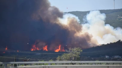 İzmir'de tarım arazisinde başlayan yangın ormana sıçradı