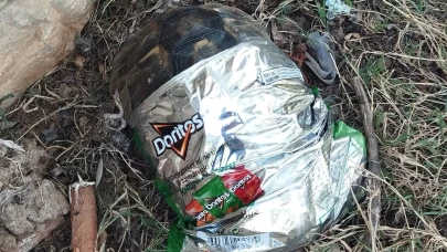 Poşete sıkışan kaplumbağanın yaşam savaşı