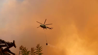Sakarya'da ormanlık alanda çıkan yangın Bilecik tarafına sıçradı