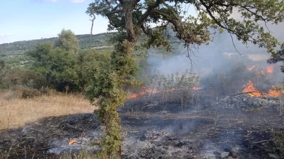 Çanakkale'de makilik alanda çıkan yangın söndürüldü