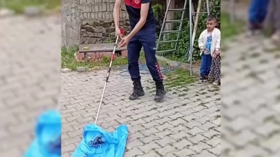 Eve giren yılanı itfaiye ekipleri yakalayıp doğaya saldı