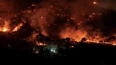 İzmir'de orman yangını: Vatandaşlar tahliye edildi